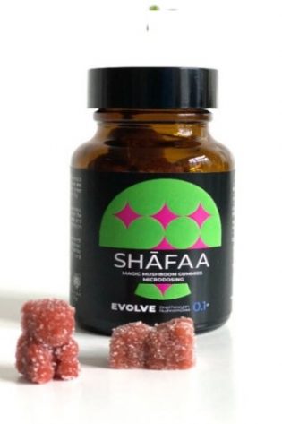 Shafaa Evolve Magic Mushroom Microdosing Gummy Bears